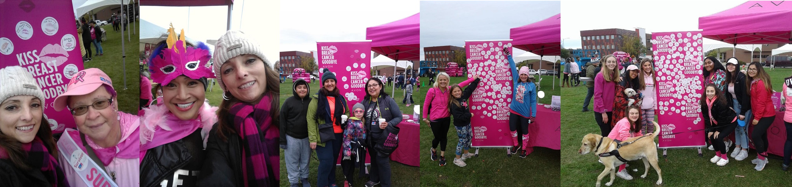 Making Strides Against Breast Cancer Anchorage Alaska